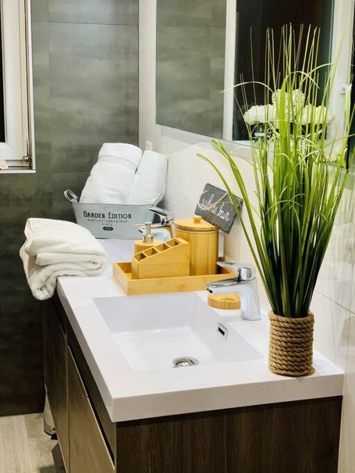 Gite Cosy Au Coeur De L'Alsace Roggenhouse Zewnętrze zdjęcie